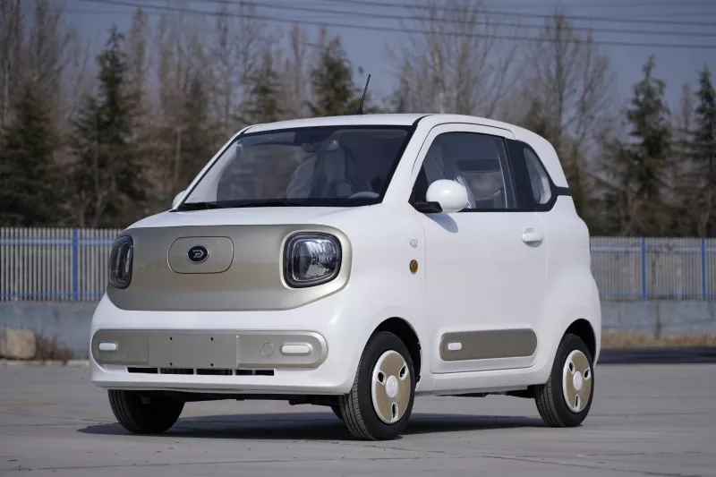 EEC COC Adult Mini Electric Car